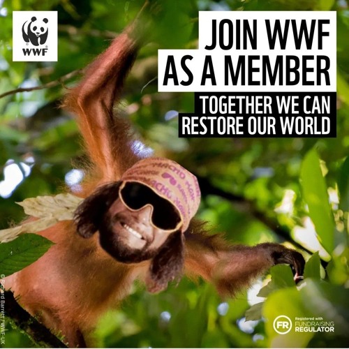 Rompa Stompa - November Demo 2025