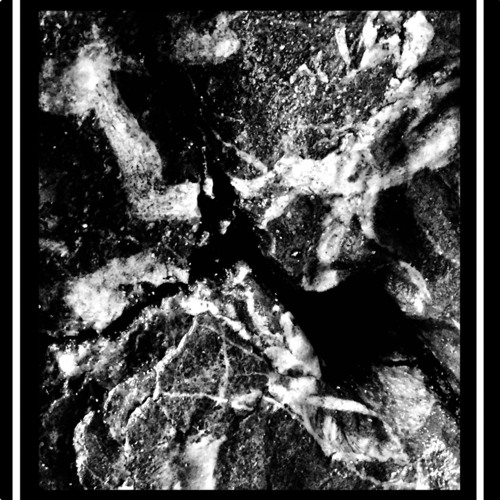 Copy of Box Number Twelve