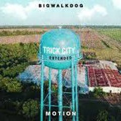 motion remix bigwalkdog