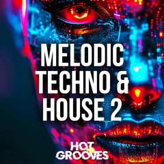 Hot Grooves - Melodic Techno & House 2