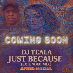 DJ TEALA - JUST BECAUSE (A-N-S Remix) snippet