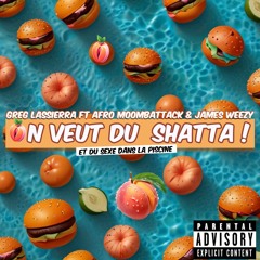On Veut Du Shatta ( Radio Edit )