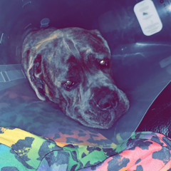 I’m Fine- Teenwolf