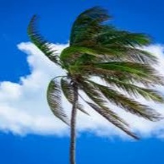 El Viento