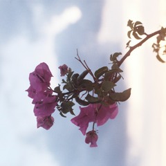CODECAST X - Sorex - Natural Mystique