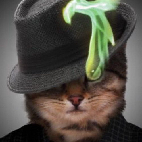 catfight + zxtr - dontevenknowdat (on1y + rhekdens)