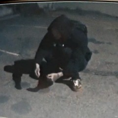 drippin so pretty - Tattoos of My Dead Friends (slowed + reverb and echo)