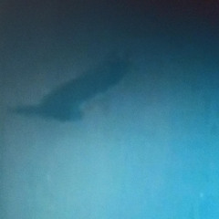 The scarecrow [Naviar Haiku #  629]