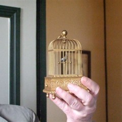 Chant d'Oiseau Mécanique de Maurice Ravel à Monfort l'Amaury