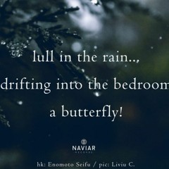 Lull in the rain (naviarhaiku501)