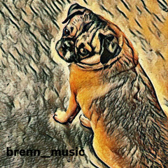 Cachorro