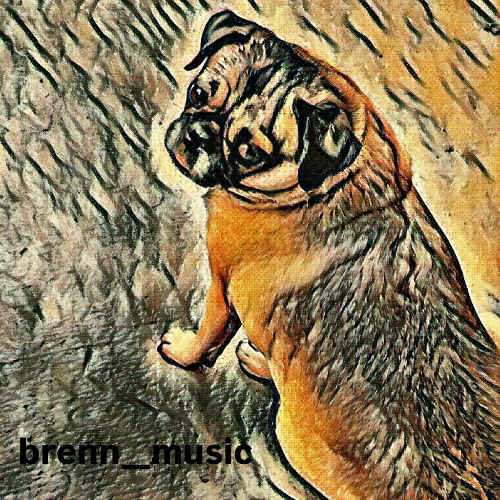 Cachorro