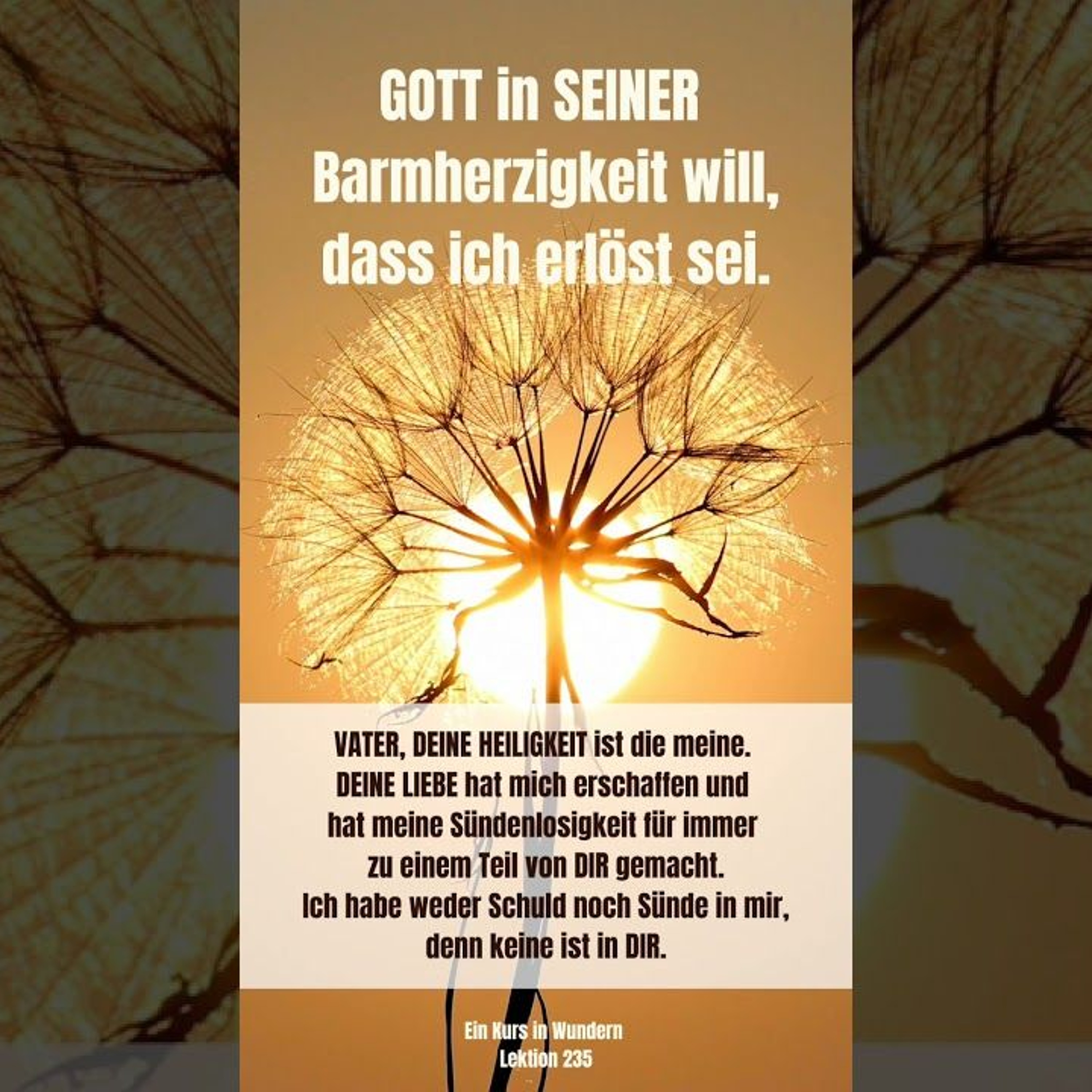 LEKTION 235 GOTT in SEINER Barmherzigkeit will, dass ich erlöst sei