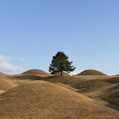 폐허