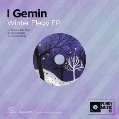 FUMU030  I Gemin - Winter Elegy EP