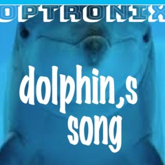 dolphin,s song