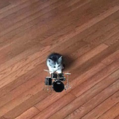 small breackorer