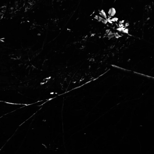 There Is Silence