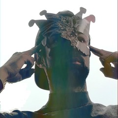 live crazy, die crazy