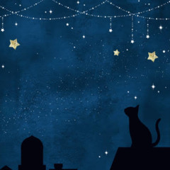 hello night