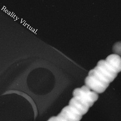 Reality Virtual