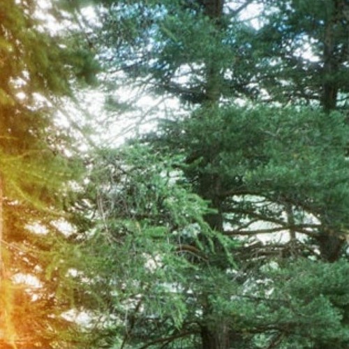 accoustic passage I, II, III and, IV