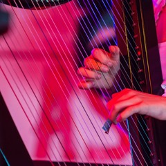 Man Like You - Tom Misch (Harp Cover)