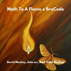 Moth To A Flame x BroCode (David Mackay, dela sur, Raul Vidal Mashup)