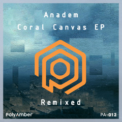 Anadem - Floating With Friends (Brian David Remix)