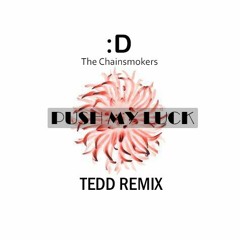 The Chainsmokers - Push My Luck (TEDD Remix)