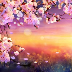 Spring Rising - Volume 1