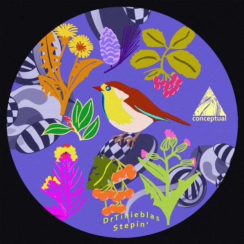 DrTinieblas - Stepin' EP [Conceptual] Preview