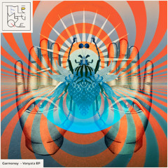 LTR Premiere: Garmoney - Verovan Mirage [Telematique]