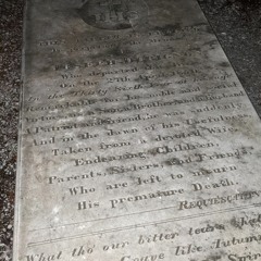 BEST FREN TIM ft SCENERY