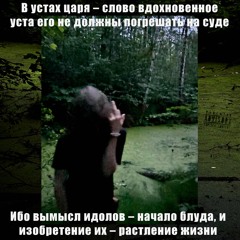 Предисловие