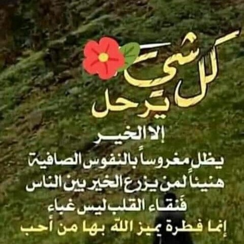 تلاوه ستاخذك للجنه الشيخ حسن صالح سوره القمر