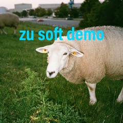 zu soft demo