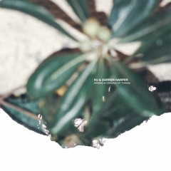 Xu & Darren Harper - Arising And Ceasing Of Things