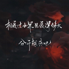 美丽的神话 (DJ梦泽版)