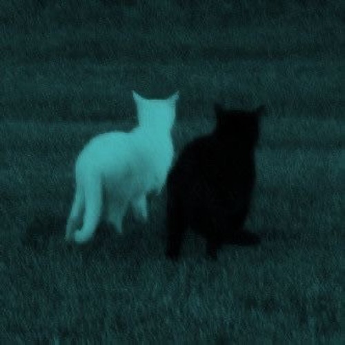 pl1ng.wav (130bpm)