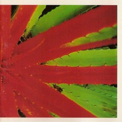 8. Jejune - Regrets Are Unanswered Dreams
