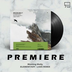 PREMIERE: Meeting Molly - Elementary (LADS Remix) [MANGO ALLEY]