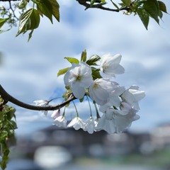 18 April