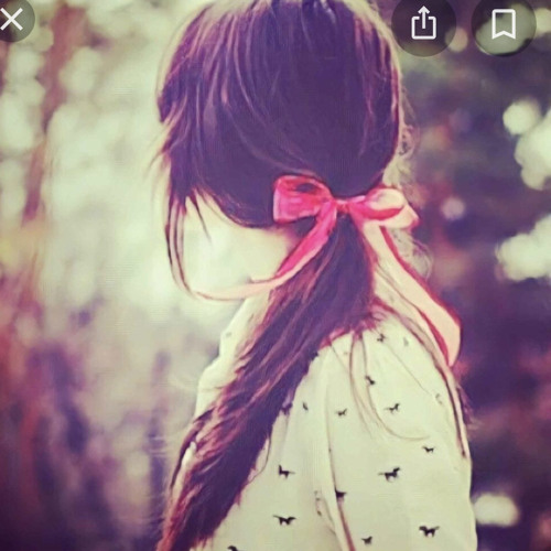 توب الحمل -- ربيع مهدي
