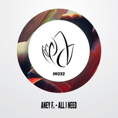 IM232 - Aney F. - ALL I NEED
