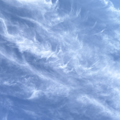 Imposter Syndrome (Unfinished)