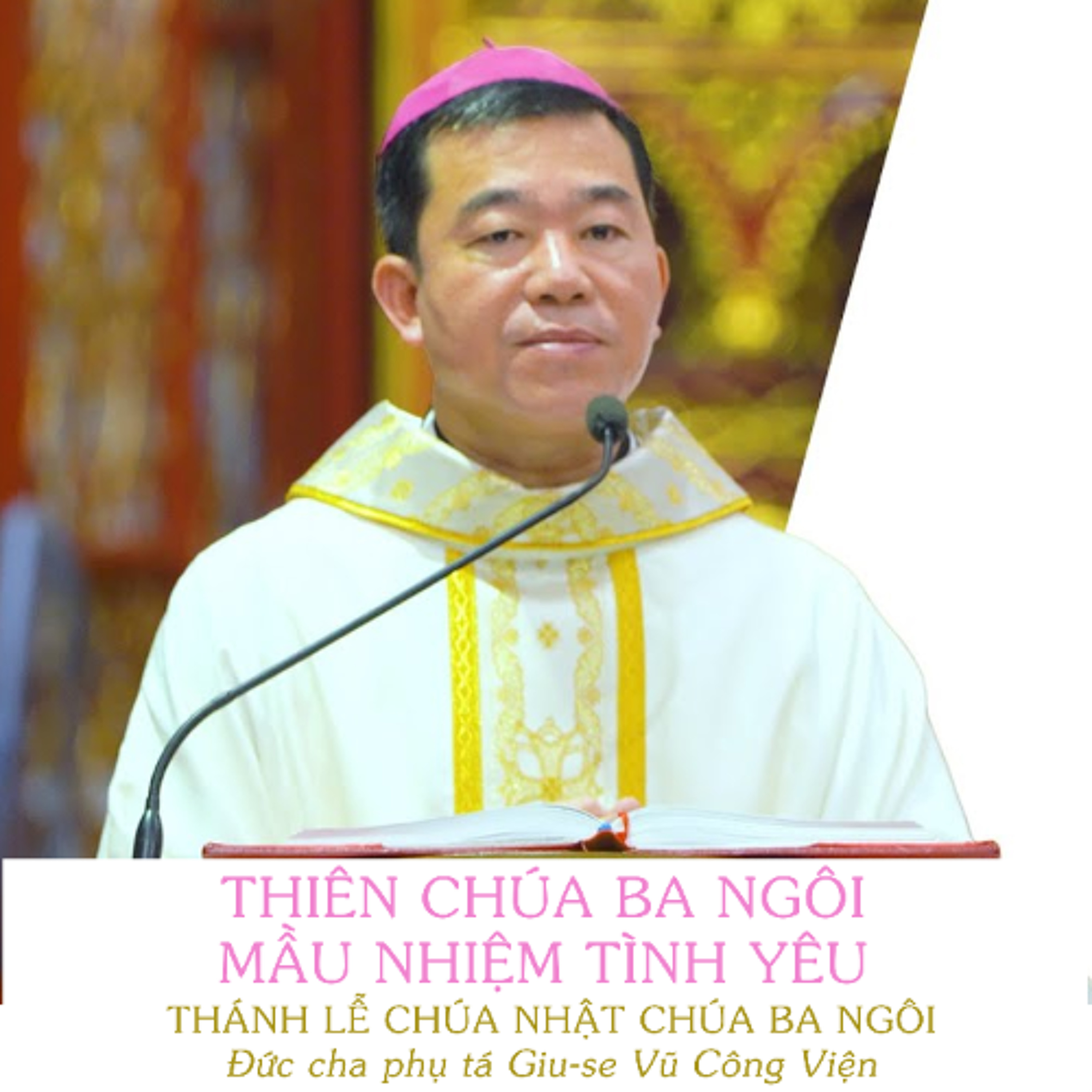 Thiên Chúa Ba Ngôi Mầu Nhiệm Tình Yêu _ Đức Giám mục Giu-se Vũ Công Viện