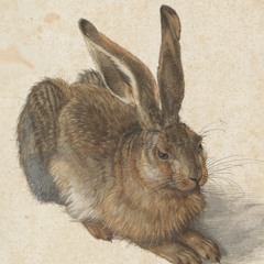 Rabbit and Hare Body Size Evolution - BIO323 S21