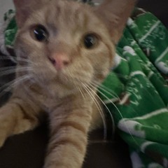 Keep Away -JUICE WRLD (UNRELEASED)