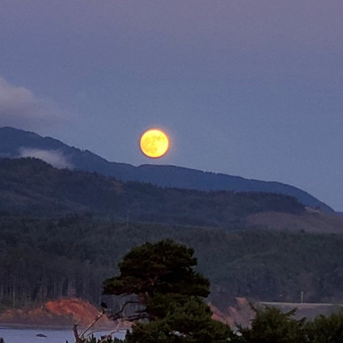 Ring Around The Moon